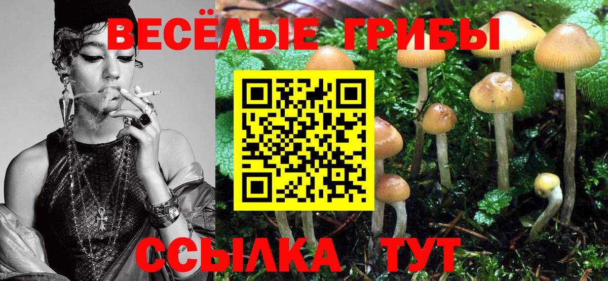 Донской  Галлюциногенные грибы Psilocybe  Вход с VPN 